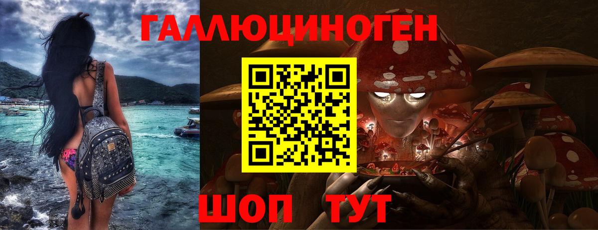Псилоцибиновые грибы прущие грибы Соль-Илецк